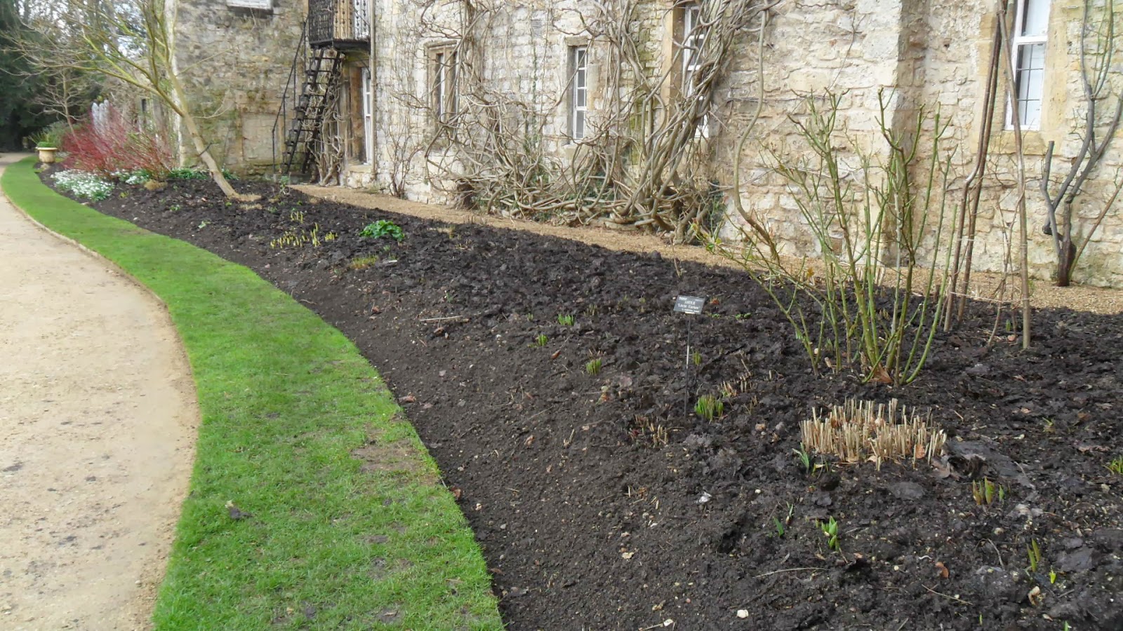 Worcester College Gardeners 20092018 Mulching Borders