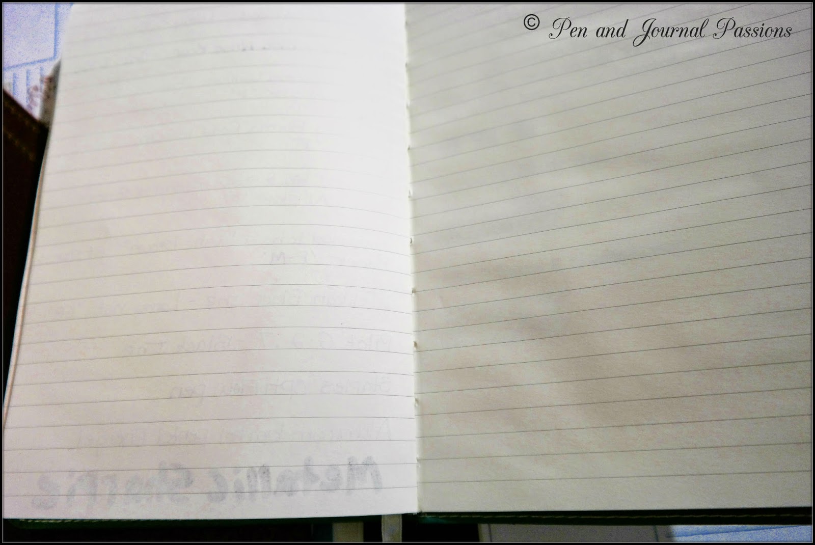 Pen and Journal Passions: Piccadilly Journal Review