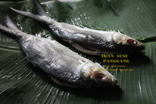 Ikan Susu Panggang