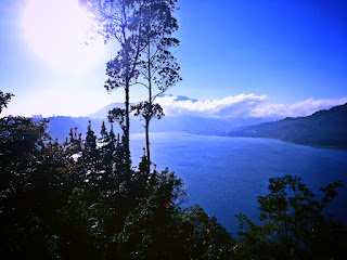 Morning Delighted With Natural Forest Trees Of Lake Buyan At Wanagiri Village, Buleleng, Indonesia