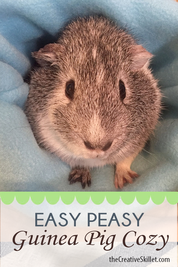 The Whimsy House Guinea Pig Cozy