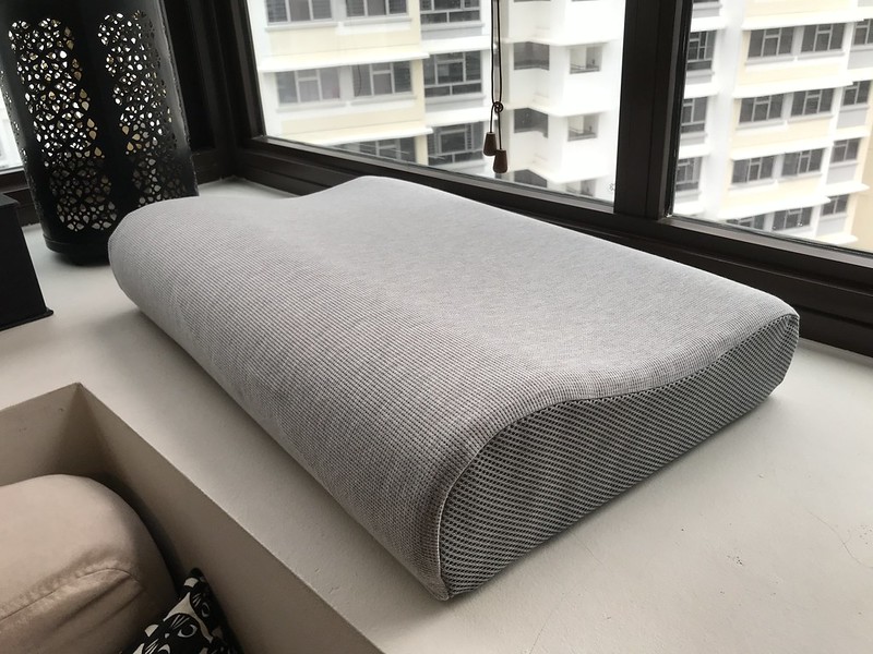 Sigmund Home Ergo Foam Tencel Pillow Review CAMEMBERU