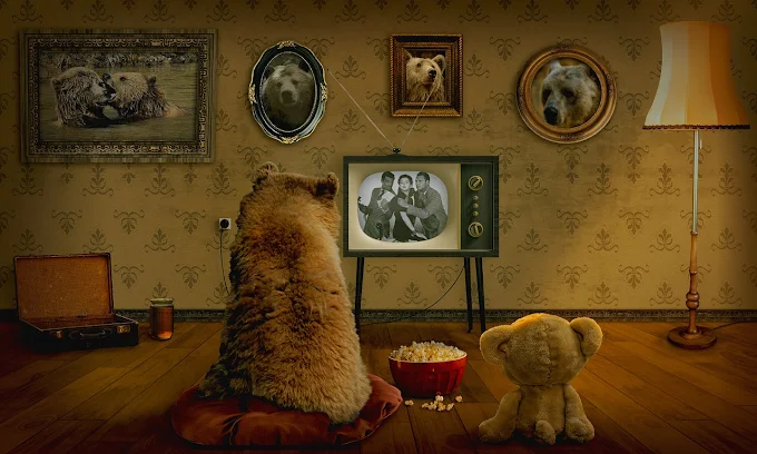 Ursos de pelúcia vendo TV