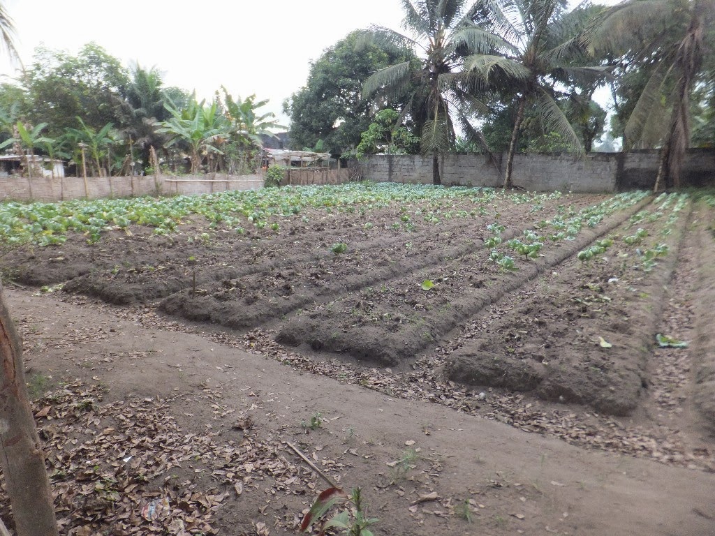 Hezseltine Mission Liberia Paynesville