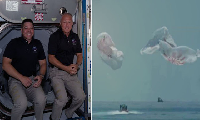 هبوط مركبة "كرو دراغون" في خليج المكسيك وعلى متنها رائدا فضاء من ناسا