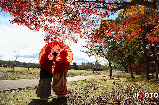 奈良公園の紅葉で前撮り撮影