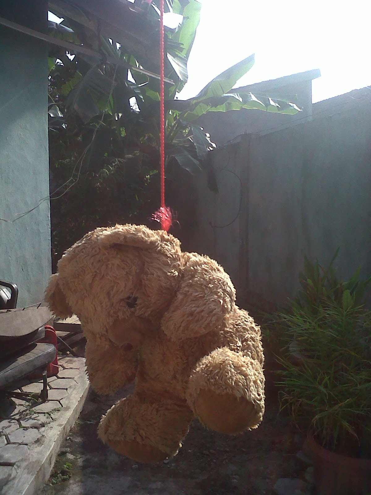 tuna asmara Derita Seorang Teddy.!