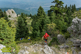 KAL 8942 | Lamianow.gr