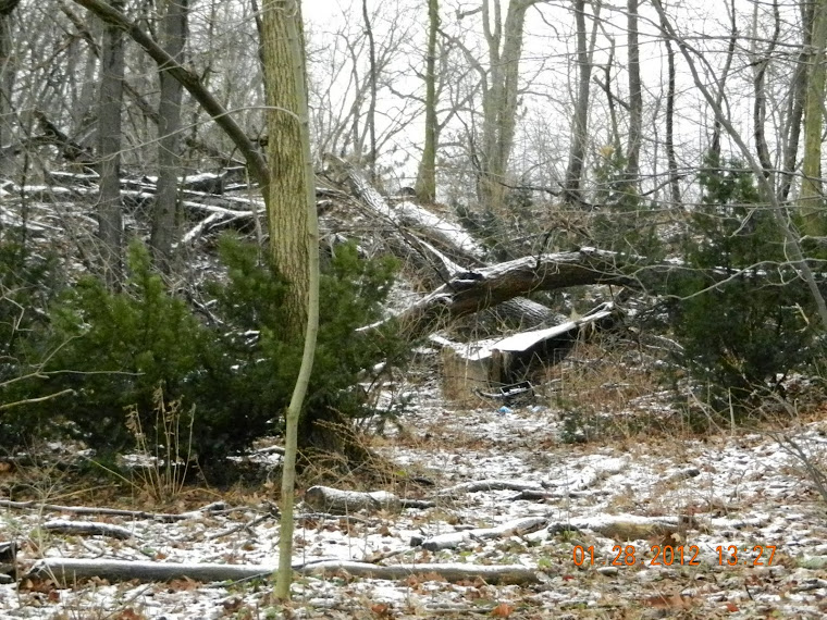 BLV=Brady Lake Visual