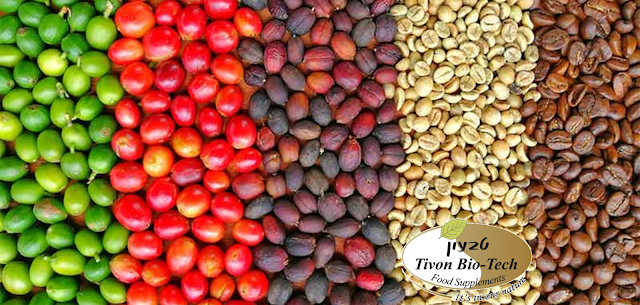 מגוון צבעים לקפה