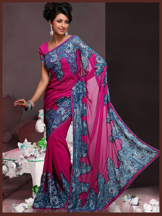Embroidered Sarees Collection 2011, Hand Embroidered Sarees Online