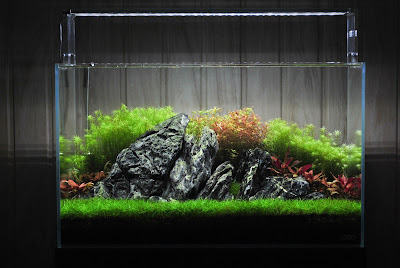 Aquarium adalah Aquarium adalah
