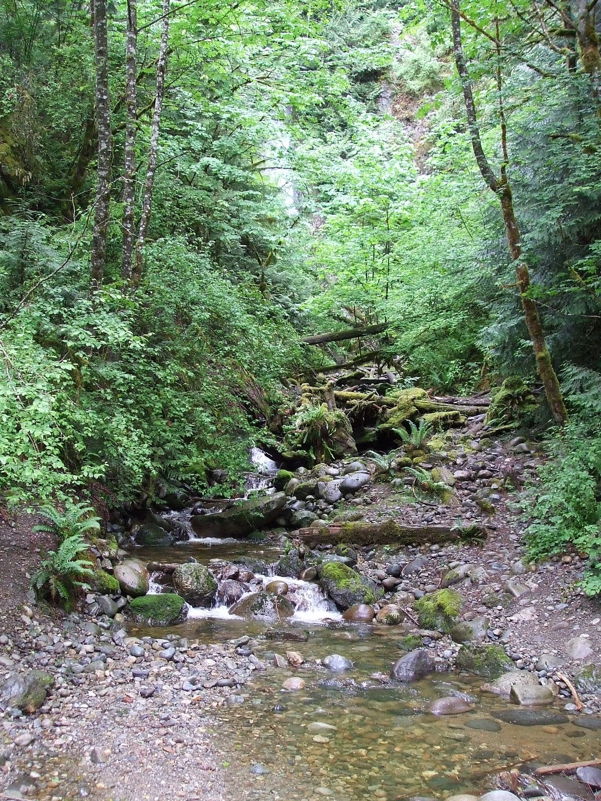 A Homeschool Mom's Hiking Blog: Explorer Falls ~ June 30th 2011