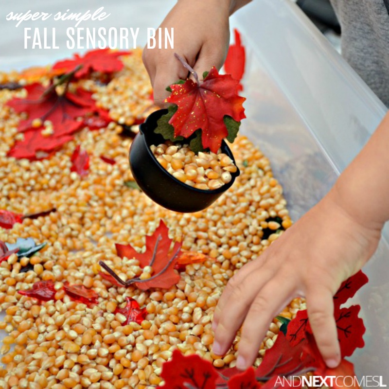 Easy Fall Sensory Bin And Next Comes L