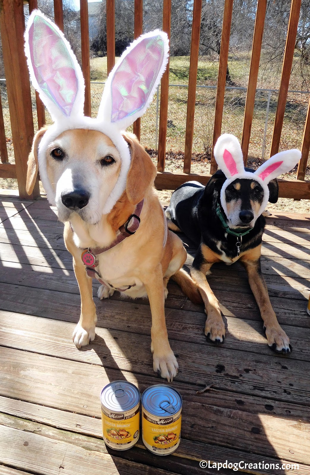 merrick easter brunch