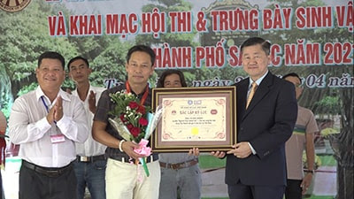 Anh Đông nhận bằng kỷ lục