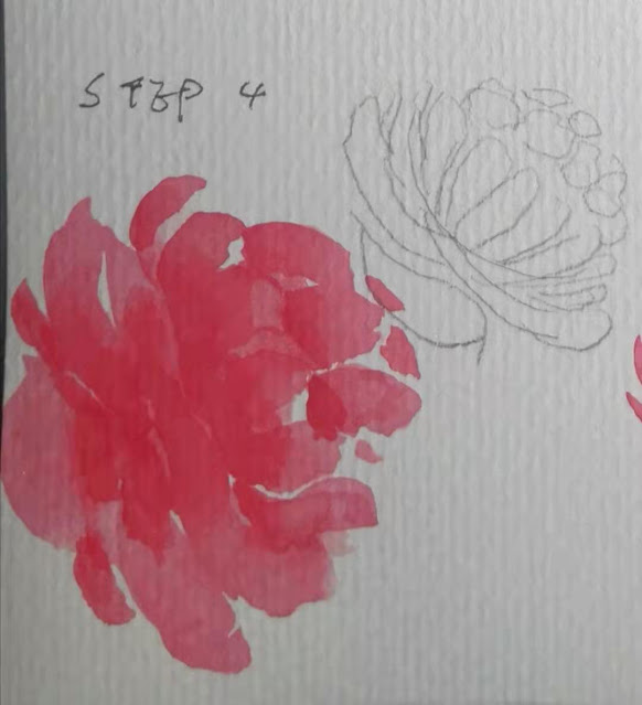 How to paint watercolor rose, peony flower skills