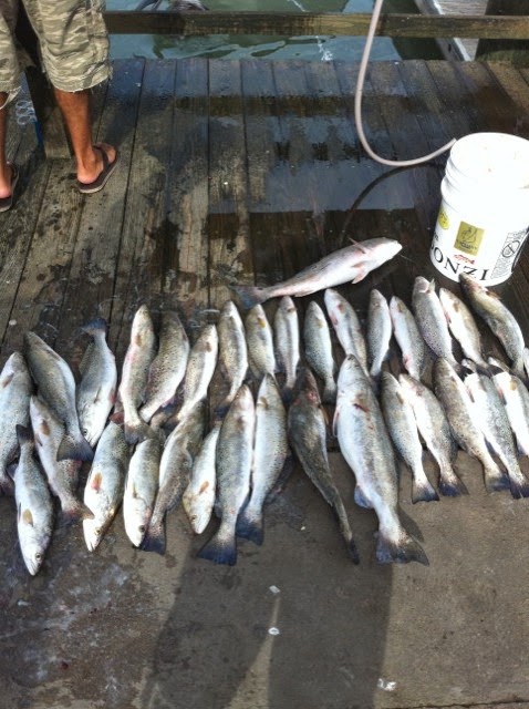 June 2014 Galveston Fishing Charter Company