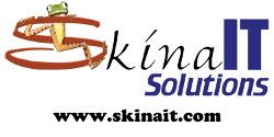 Blog Skina IT Solutions