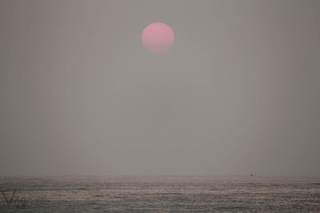 First sights of Sun rise through the Indian east-coast First sights of Sun rise through the Indian east-coast