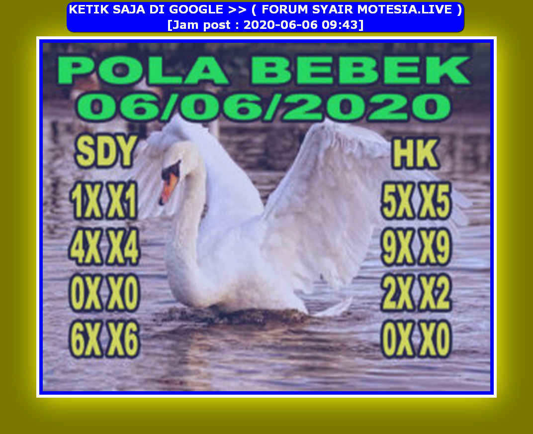 forum syair meloditogel