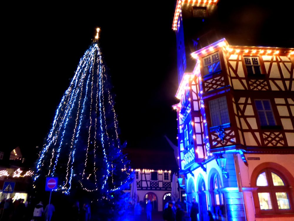 DiDaGo 2019 Weihnachtsmarkt Lorsch