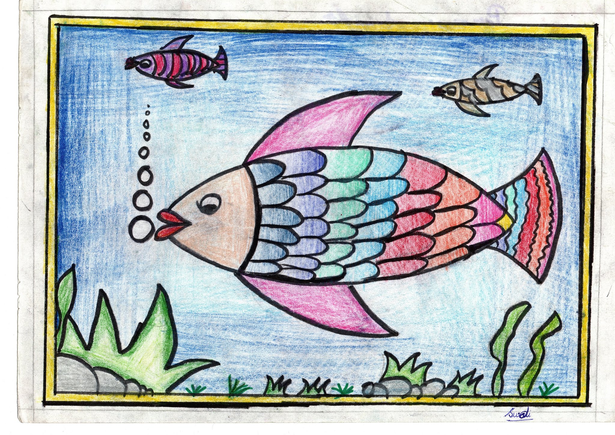Fish Drawing For Kids