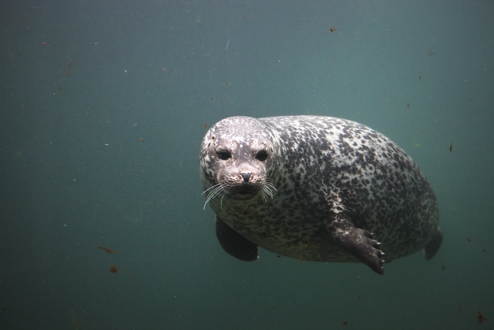 IN Tynemouth Blue Reef Aquarium (Tynemouth)