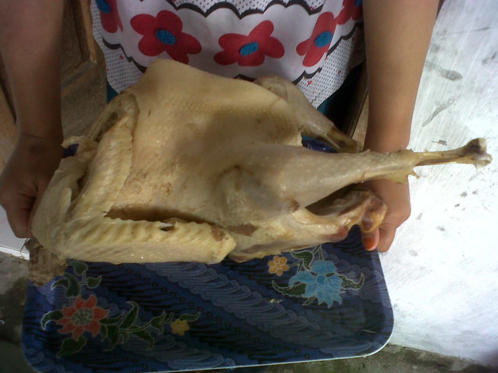 AYAM KALKUN: SEDIA DAGING KALKUN SIAP OLAH