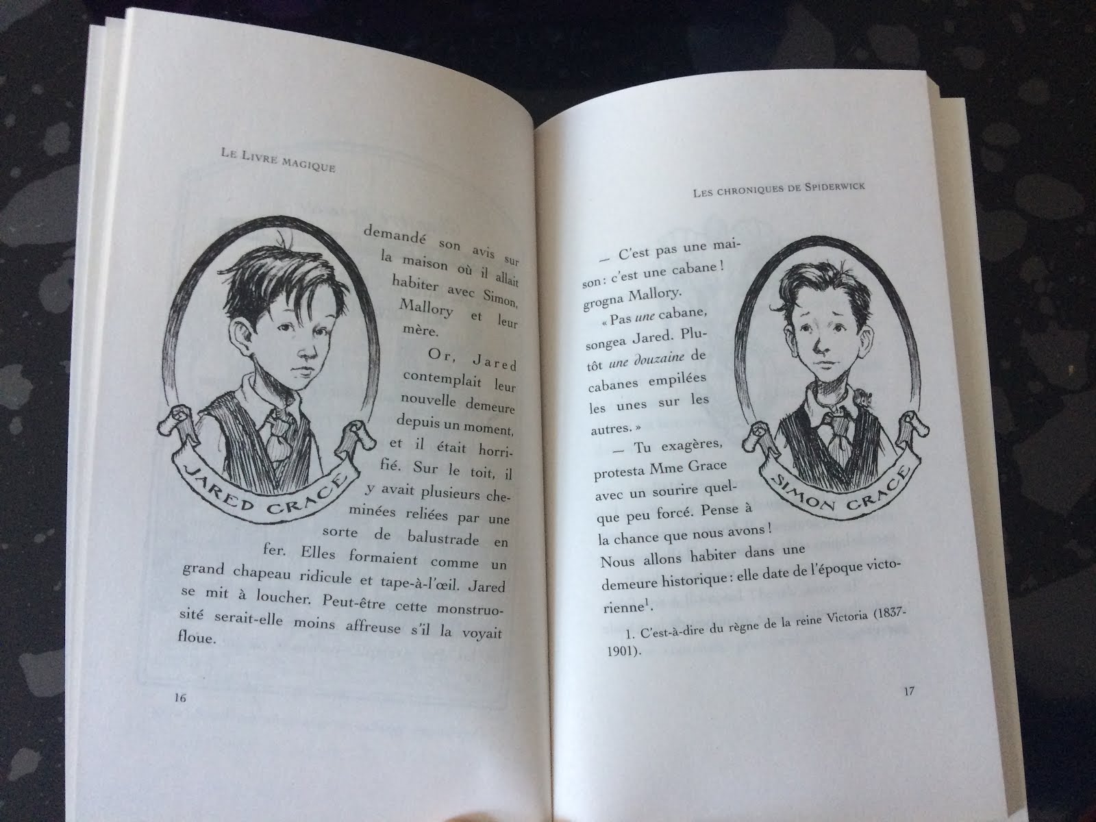 Le livre magique de Holly Black