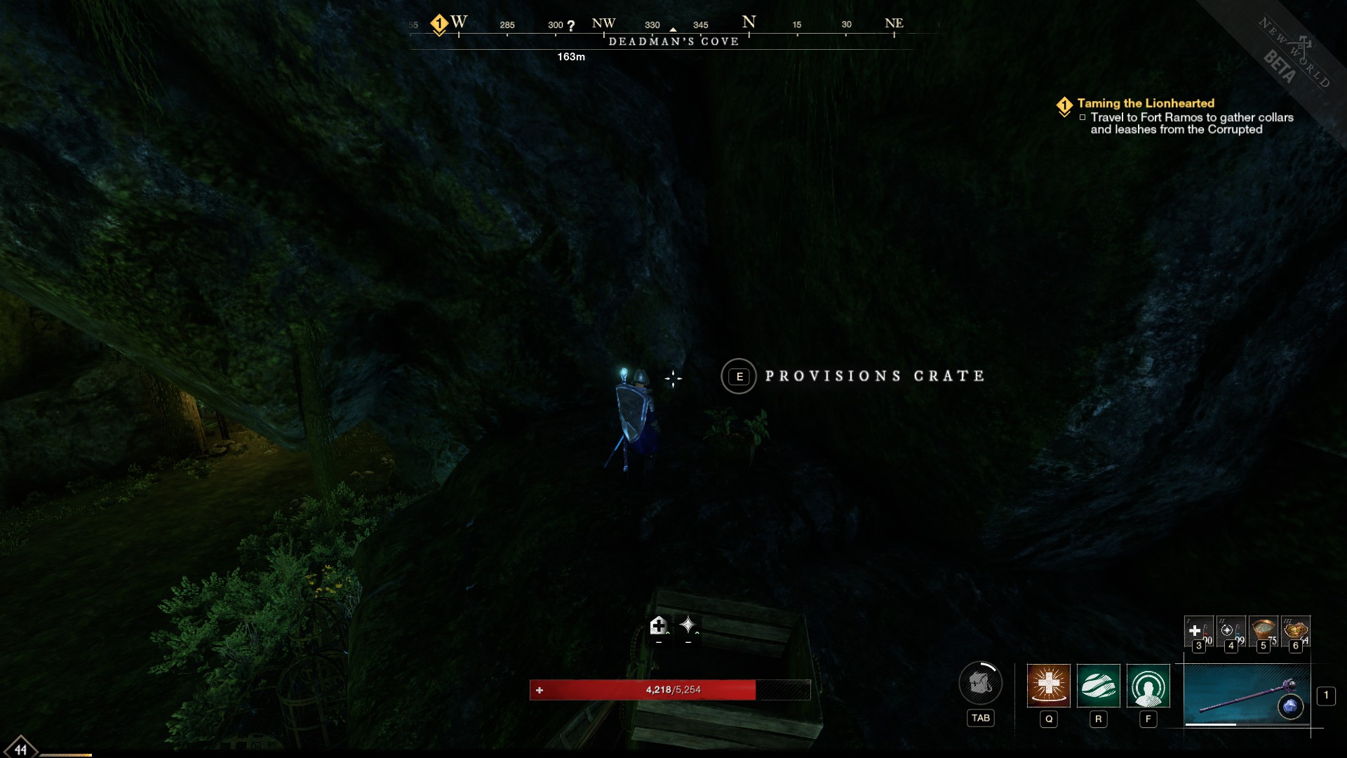 New World Deadman's Cove chest locations