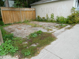 Toronto gardening services Hillcrest backyard cleanup before by Paul Jung