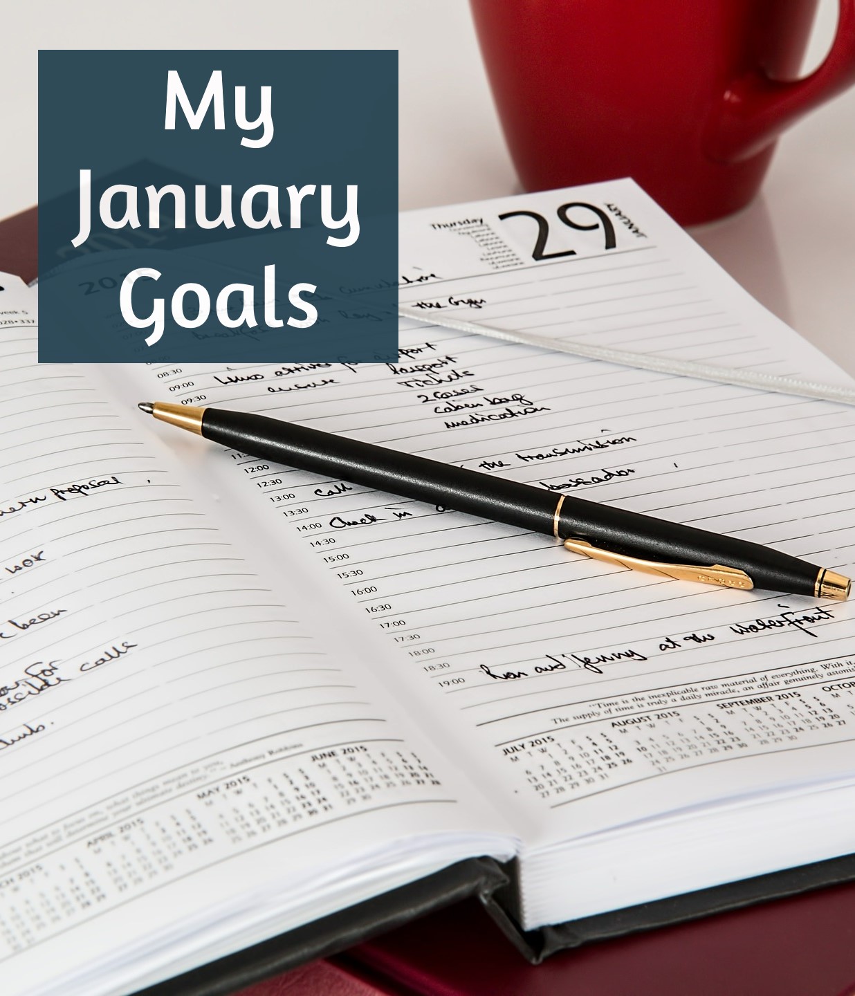 My January Goals My January Goals