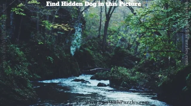 Picture Puzzle to find hidden Dog