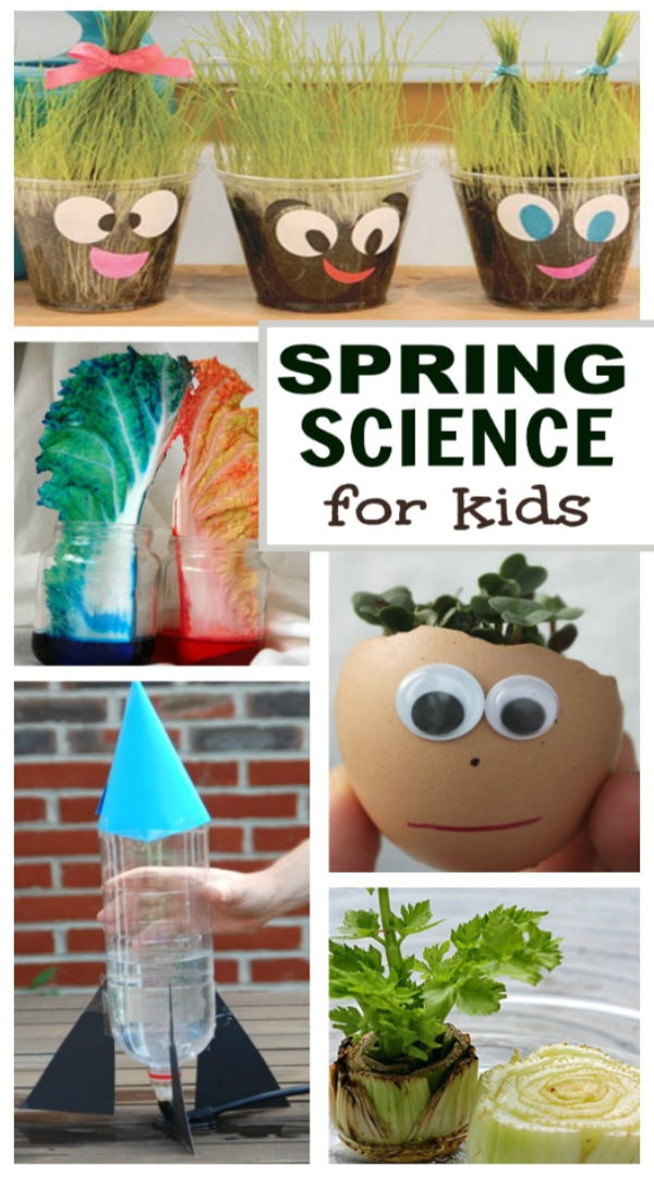 Spring Science For Kids
