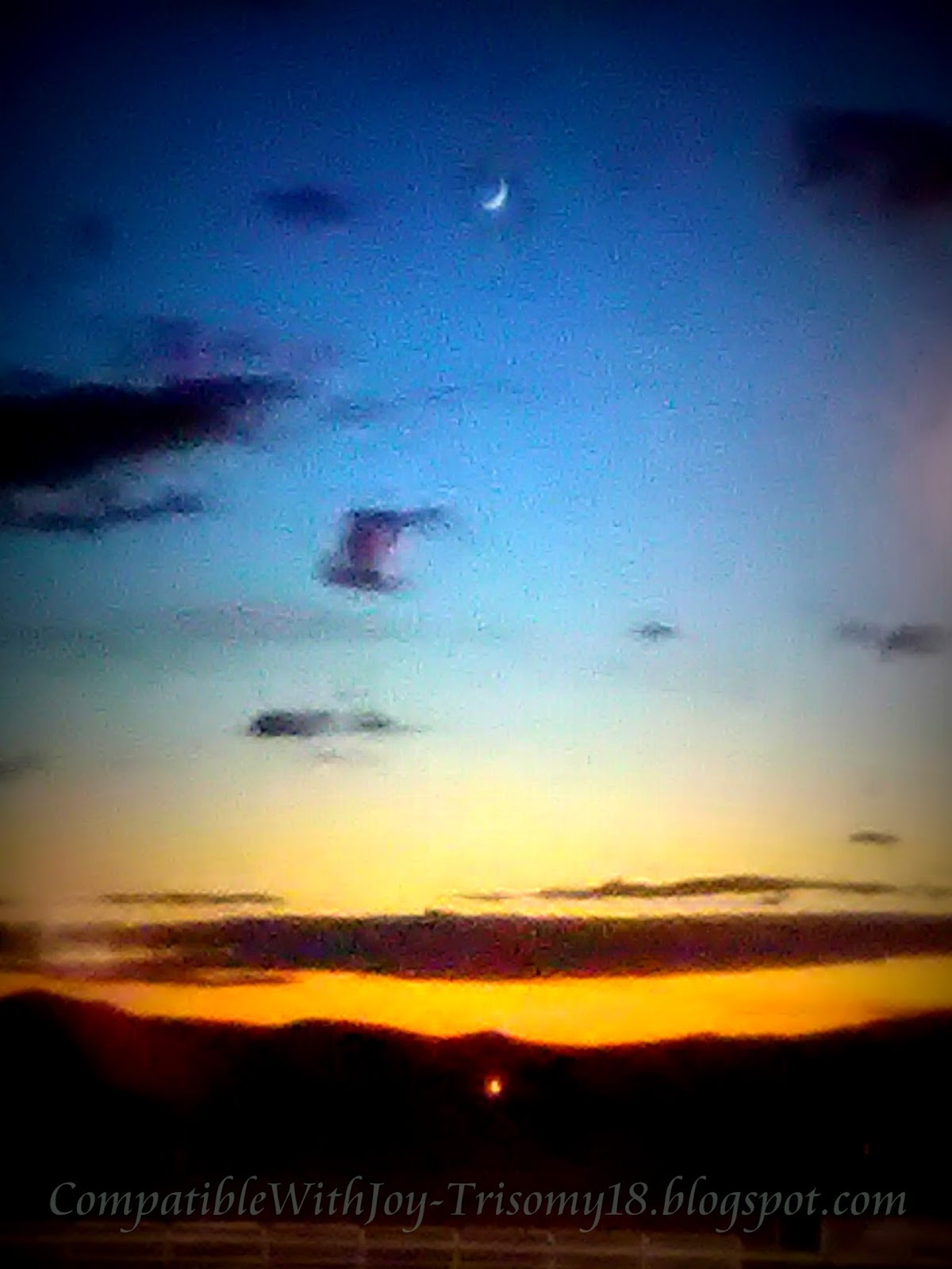 Compatible With JoyTrisomy18 Friday in the Big House