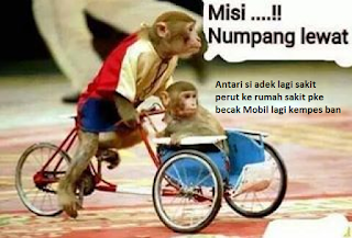 Inilah 21 Meme Monyet Api dan Juga Ramalannya