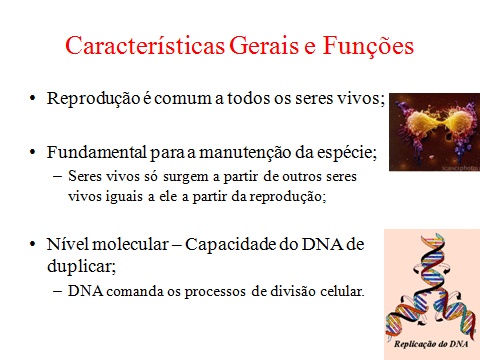 E.E.Profa. Castinauta de Barros Mello e Albuquerque - Onde a internet ...