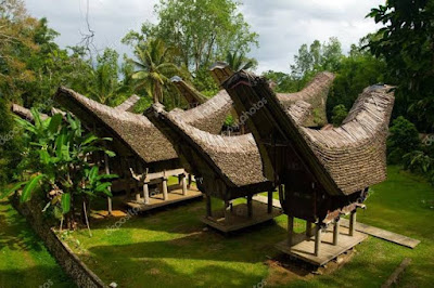 7 Facts You Should Know About Baby Graves in Toraja