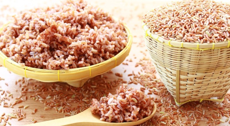foods to increase breast milk