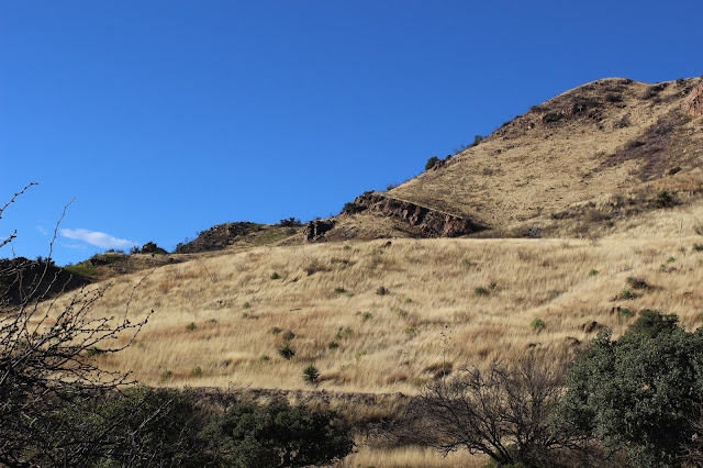 Guided%2BCoues%2BDeer%2BHunts%2Bin%2BSonora%2BMexico%2Bwith%2BJay%2BScott%2Band%2BDarr%2BColburn%2BDIY%2Band%2BFully%2BOutfitted%2B6.JPG