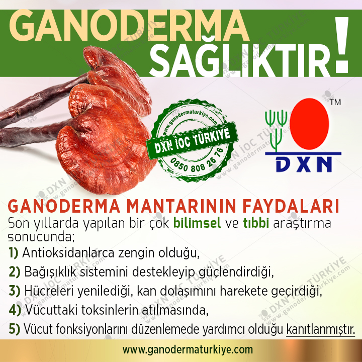 Dxn Dxn Nedir Dxn Urunleri Nelerdir Dxn Turkiye Nin En Guclu Ekibi Neden Selcan Bagci Ekibi