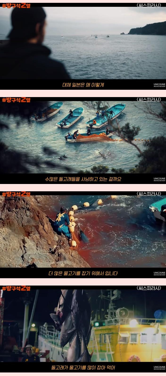 일본 돌고래 학살의 배후 기업 - 짤티비