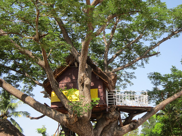 casa-sull'albero-legno