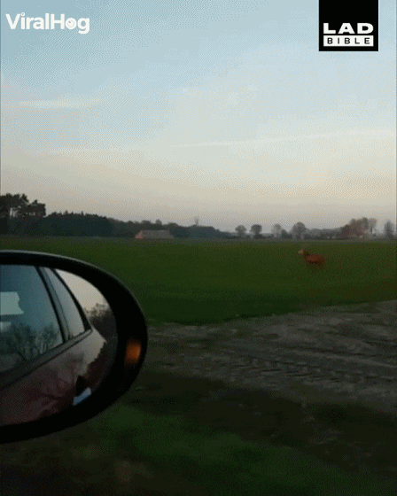 04b1d50e0e4511365d76071df4adf1e08ddc0091.gif