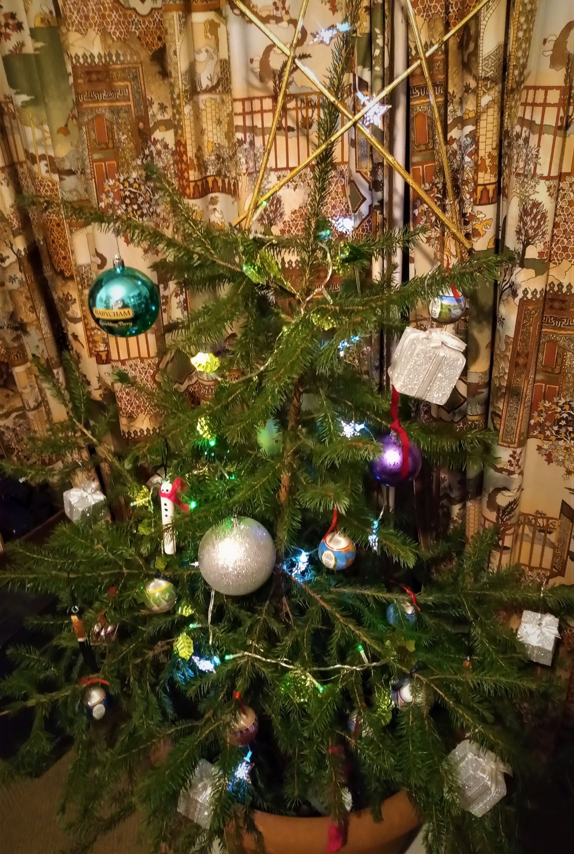 A bad witch's blog Pagan Eye My Real Yule Tree Still Alive After 3