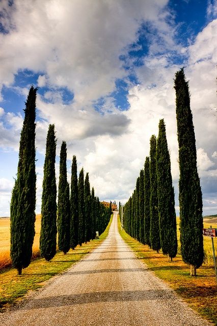 Ripasso Facile PARAFRASI DAVANTI SAN GUIDO