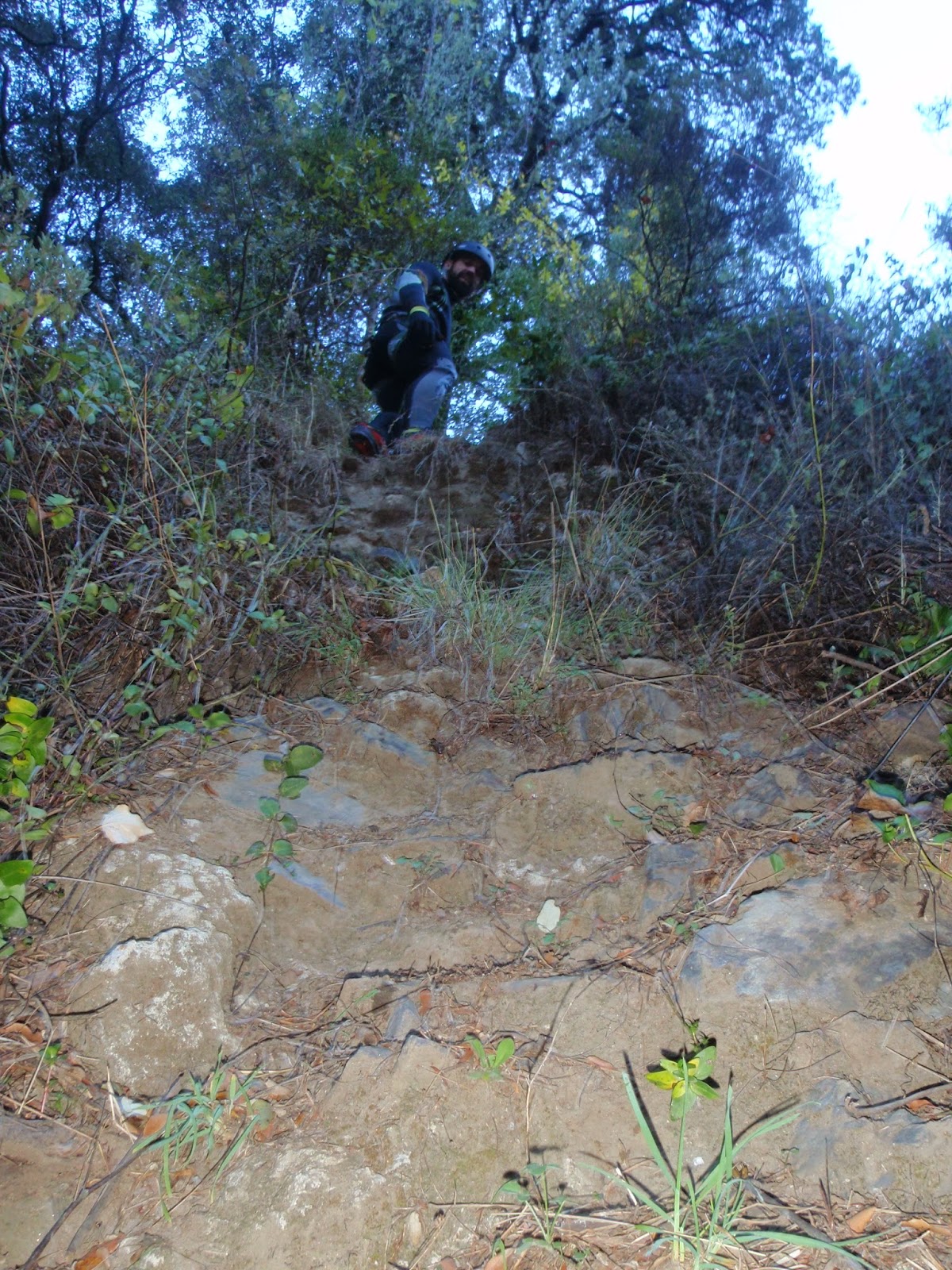 A MEDIA HORITA: noviembre 2013