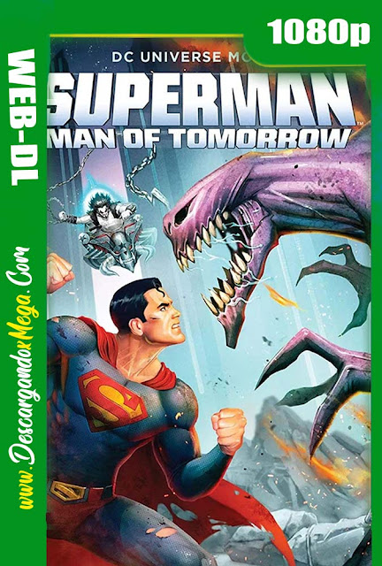 Superman Man of Tomorrow (2020) HD 1080p Latino