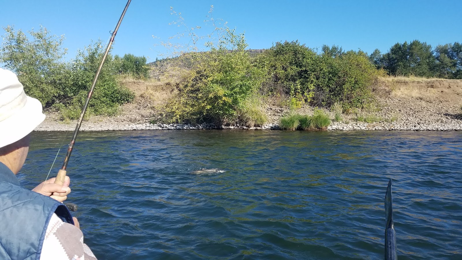 Guided Fishing on the Rogue and Umpqua Rivers' for Salmon and Steelhead
